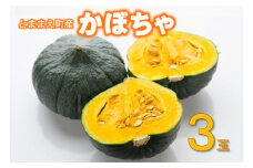 【令和7年産先行受付】北海道とままえ産かぼちゃ　3玉