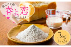 北海道とままえ産強力小麦粉【春よ恋】　1kg×3