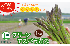 【令和7年産】上田ファームのグリーンアスパラガス　1kg《数量限定》