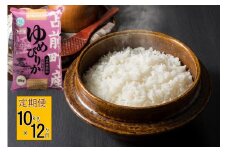 【令和7年産・新米先行受付】北海道とままえ産ゆめぴりか　10kg×12ヵ月連続お届け定期便