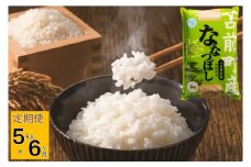 【令和7年産・新米先行受付】北海道とままえ産ななつぼし　5kg×6ヵ月連続お届け定期便