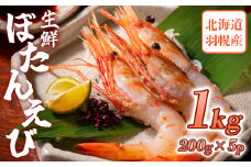 超速リキッド凍結でドリップゼロ！北海道羽幌産生鮮ぼたんえび 1kg（200g×5パック）【03119】