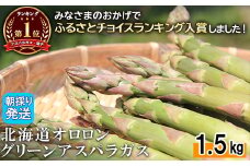 【朝採り・春発送！】北海道オロロングリーンアスパラガス 1.5kg（露地物） | グリーンアスパラガス アスパラガス アスパラ グリーンアスパラ 1.5kg  朝採れ オロロン 新鮮 野菜 露地  北海道 羽幌町 羽幌 ふるさと納税【0410501】