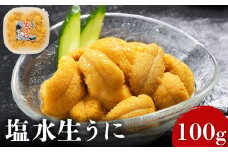 【6月上旬〜8月中旬発送予定】北海道産 塩水ウニ 100g×1 | ウニ うに 100g 1パック ミョウバン不使用 北海道 人気 旬 新鮮 羽幌町 羽幌 ふるさと納税【0211702】