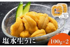 【6月上旬〜8月中旬発送予定】北海道産 塩水ウニ 100g×2 | ウニ うに 100g 2パック ミョウバン不使用 北海道 人気 旬 新鮮 羽幌町 羽幌 ふるさと納税【0211802】