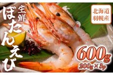 超速リキッド凍結でドリップゼロ！北海道羽幌産生鮮ぼたんえび 600g【0311801】