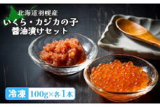 北海道羽幌産 いくら・カジカの子醤油漬けセット（100g×各1本） 冷凍 いくら かじか ご当地 珍味 セット 詰め合わせ 海鮮 ふるさと納税 北海道 羽幌 羽幌町  渋谷水産 オンライン オンライン申請 マイページ【06014】