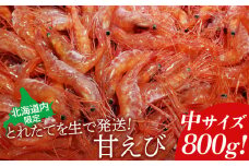 【北海道内限定】とれたてを生で発送! 甘えび800g（中サイズ以上） | 甘えび 800g えび エビ 海老 中サイズ 限定 冷蔵 発送地域限定 魚介類 刺身 丼 北海道 羽幌町 羽幌 ふるさと納税【0601301】