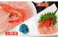 【北海道内限定】とれたてを生で発送! 甘えび800g（メスor小サイズ）