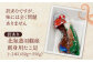 【訳あり】北海道羽幌産 刺身用たこ足小さめ （450～550g）【冷凍】