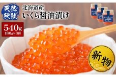 ★入金後順次発送！2025年新物★北海道産 天然秋鮭 いくら醤油漬け 540g(180g×3) |   いくら イクラ 醤油漬け 鮭 秋鮭 いくら丼 小分け 国産 天然 さけ 卵 魚卵 海鮮 人気 旬 新鮮 瓶詰 ご飯のお供 セット 北海道 ふるさと納税 羽幌町 羽幌 オンライン申請 ワンストップ 限度額【02159】