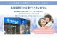 雪印パーラー スノーロイヤル 12個セット