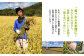 【2024年産】 北海道産 特別栽培米 ゆめぴりか 5kg （無化学肥料・農薬不使用）