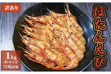 訳あり ぼたんえび 1kg 小サイズ 75尾前後 | ボタンエビ ぼたんえび えび エビ 刺身 魚介 冷凍 北海道 ふるさと納税 羽幌町 羽幌【0512402】