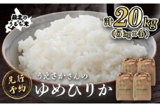 【新米予約】 2025年産 ゆめぴりか 20kg（5kg×4袋） ｜ 米 お米 新米 予約 ふるさと納税 北海道 オンライン申請 マイページ オンライン 羽幌町 羽幌 ゆめぴりか ごはん 北海道米 ブランド 精米 白米 お取り寄せ【2010301】