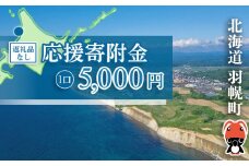 北海道羽幌町への応援寄付　返礼品なし　1口 5,000円【99004】