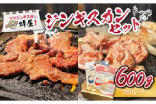 味付ジンギスカン300g 鶏塩ジンギスカン300g 計600g | オンライン申請 ふるさと納税 北海道 羽幌 ジンギスカン 2種 羊 味付 タレ 鶏 塩 肉 生姜 米麹 スパイス 道の駅 人気 ご当地 グルメ 時短 調理 老舗 専門店 店の味 伝統の味 お土産 食べ比べ 詰め合わせ お取り寄せ ワンストップ マイページ ジンギスカン蜂屋 羽幌町【29003】