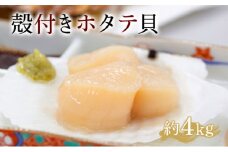 【事前予約】遠別産殻付きホタテ貝（約４ｋｇ）