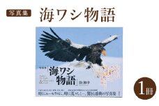 【写真集】海ワシ物語