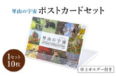 【泊和幸】ポストカードセット(動物)