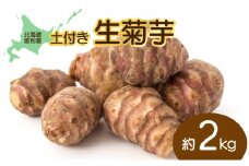 【遠別町産】土付き菊芋(赤) 約2kg