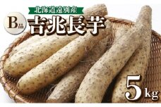 数量限定！遠別産 吉兆長芋（B品5kg)