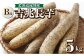 遠別産の長芋「吉兆」
