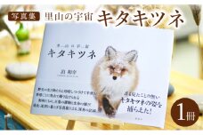 【写真集】里山の宇宙（さとやまのくうかん）キタキツネ