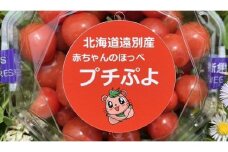 赤ちゃんのほっぺ プチぷよ 約1ｋｇ(250ｇ×4パック)サイズ大小詰合せ【事前受付2025年7月下旬～順次出荷】