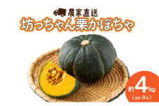 遠別産　坊ちゃん栗かぼちゃ８玉セット　計約4kg	