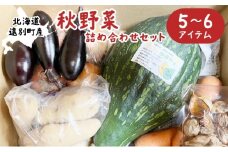 【2025年9⽉末〜順次発送予定】秋野菜詰め合わせセット 野菜 ナス 玉ねぎ カボチャ じゃがいも メークイン ニンニク にんじん 北海道 遠別町