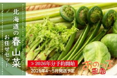 2026年分予約開始★北海道の春山菜お任せセット《おのっぷ農園》