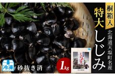 復活！天塩町名産冷凍しじみ「特大貝桐箱入り」１ｋｇ＜北るもい漁業協同組合　天塩支所＞