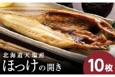 ☆脂乗り抜群！天塩産ほっけの開き１０枚セット