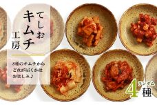 てしおキムチ工房　ランダム4種セット