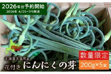 2026年分予約開始★北海道産にんにくの芽 200g×5束《おのっぷ農園》