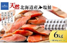 北海道産 塩サケ切り身 6kg しゃけ サケ 海鮮 魚 切り身