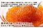 北隆丸 新巻めじか鮭（姿）約1.6kg・いくら醤油漬け200gセット　オホーツク産