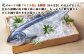 北隆丸 新巻めじか鮭（姿）約1.6kg・いくら醤油漬け200gセット　オホーツク産