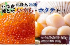 北隆丸冷凍いくら・ほたてセットいくら醤油漬け200g・ほたて貝柱500g | いくら醤油漬け 北海道 いくら イクラ 醤油漬け 国産 天然 ほたて 貝柱 貝 卵 魚卵 海鮮 ふるさと納税 北海道 オンライン 申請 ワンストップ 申請 北海道 猿払村【1602701】