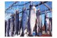 数量限定！「最北の風」猿払産鮭の山漬け寒風干【15001】