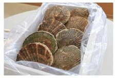 日本一のホタテの村からお届けする天然新鮮ホタテ（3kg）【0302102】