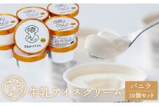 さるふつ牛乳アイスクリーム バニラ10個セット【03028】