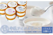 さるふつ牛乳アイスクリーム バラエティ10個セット【03032】