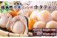 北隆丸　冷凍ジャンボほたてセット ほたて貝柱500ｇ（13～20玉）・ハーフボイルほたて500ｇ（8～12個）【16025】