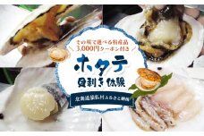～その場で選べる特産品～3,000円クーポン付きホタテ貝剥き体験 | ふるさと納税 北海道 猿払 ホタテ 帆立 ほたて 貝剥き 体験 ワンストップ マイページ 小松水産 猿払村【03035】