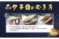 ～その場で選べる特産品～3,000円クーポン付きホタテ貝剥き体験