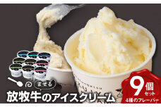 北海道 お菓子 スイーツ 放牧牛 アイスクリーム 4種9個 【池田牧場】