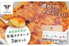 北海道 お菓子 スイーツ カタラーナ 3種 セット アイス 冷凍 ギフト 箱入り 