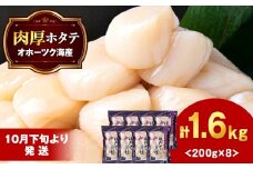 【10月下旬以降発送】ほたて 貝柱 冷凍 200ｇ(15粒前後)×8パック お取り寄せ 刺身 《横田水産》